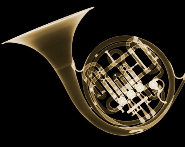 X-Ray Photography by Nick Veasey