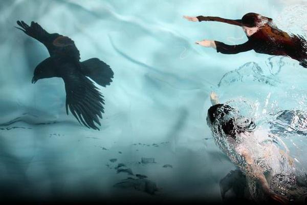 Underwater Photography by Susanna Majuri