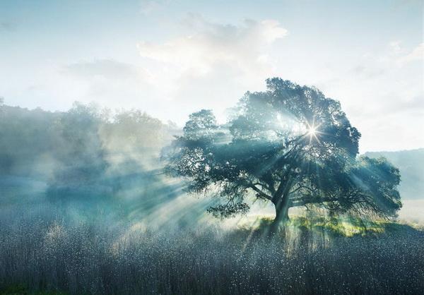 Photography by Erik Almas