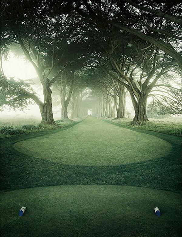 Photography by Erik Almas