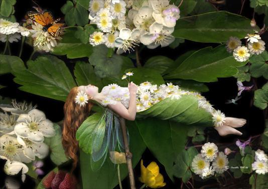 Fairytale Birdworks by Charlotte Bird