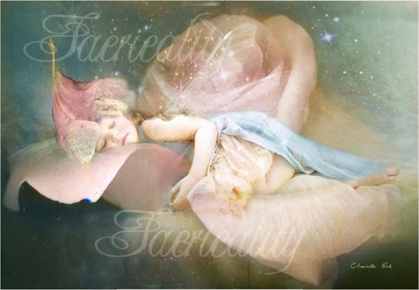 Fairytale Birdworks by Charlotte Bird