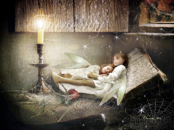 Fairytale Birdworks by Charlotte Bird