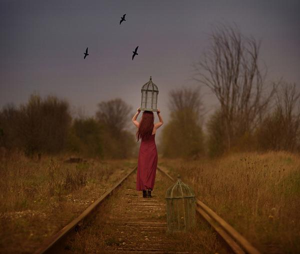 Expressive Photography by Patty Maher