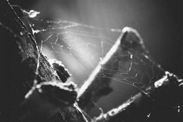 Photography by Elyzaveta Gorbachevska