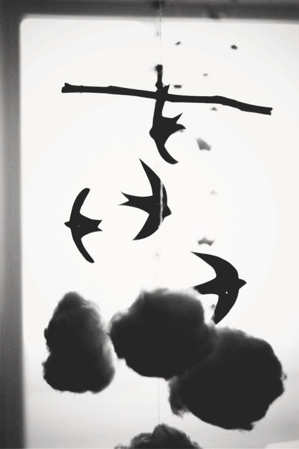 Photography by Elyzaveta Gorbachevska