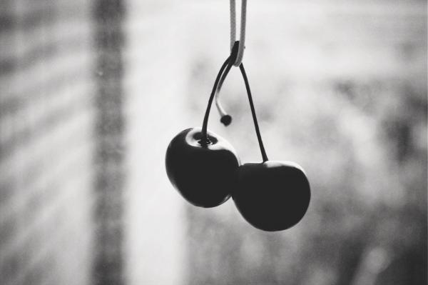 Photography by Elyzaveta Gorbachevska