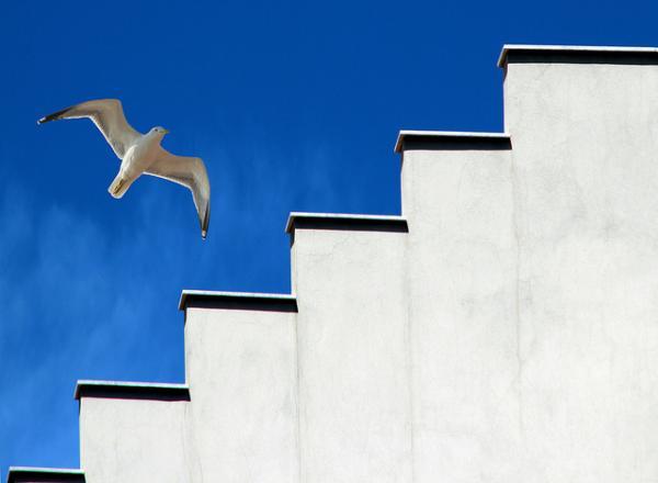 Photography by Margherita
