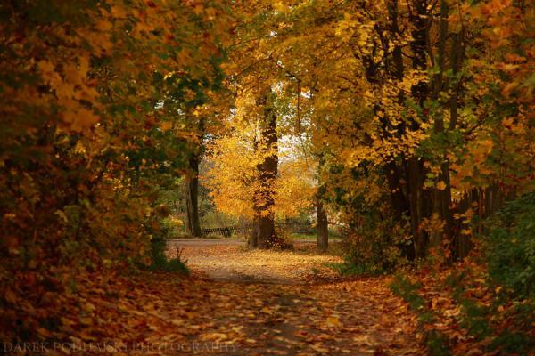 Landscape Photography by Darek Podhajski