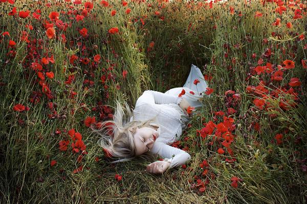 Photography by Sarah Ann Wright