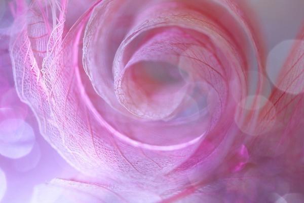 Beautiful Photography by Shihya Kowatari