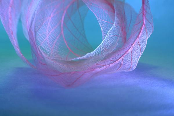 Beautiful Photography by Shihya Kowatari
