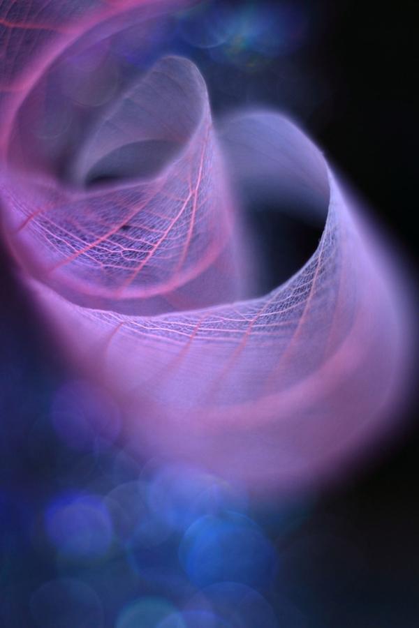 Beautiful Photography by Shihya Kowatari