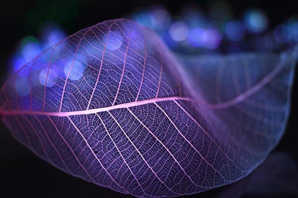 Beautiful Photography by Shihya Kowatari