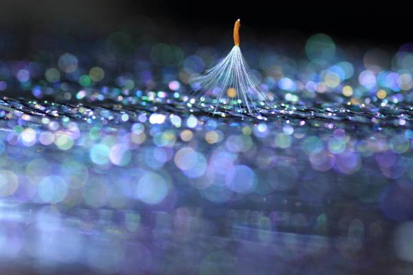Beautiful Photography by Shihya Kowatari