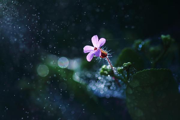 Beautiful Photography by Shihya Kowatari