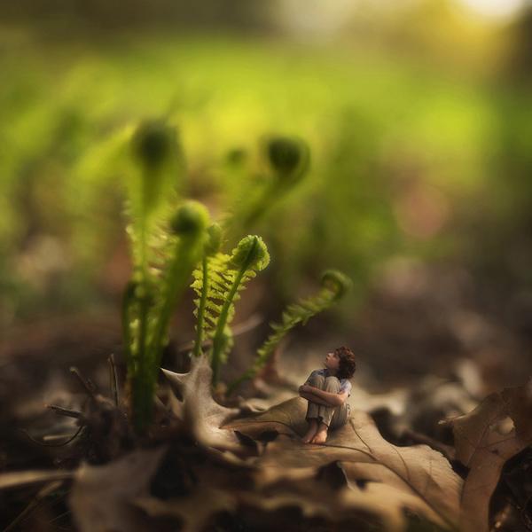 Miniature Photo Manipulations by Fiddle Oak