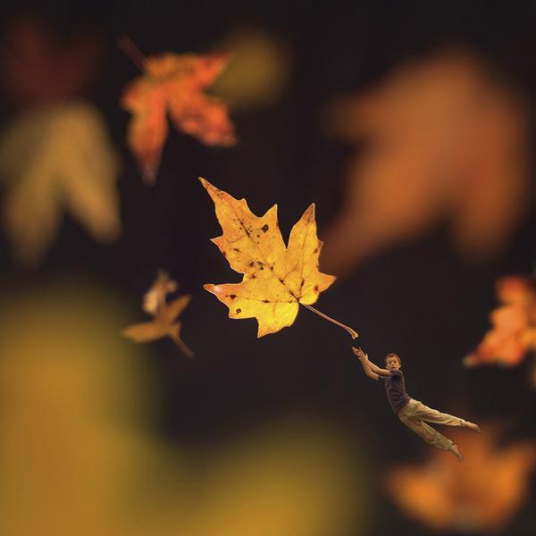 Miniature Photo Manipulations by Fiddle Oak