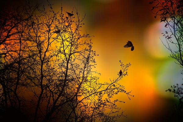Photography by Marek Czaja