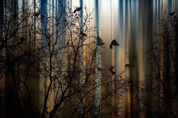 Photography by Marek Czaja