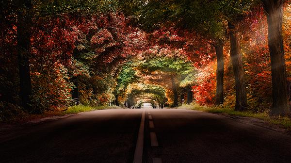 Photography by Marek Czaja