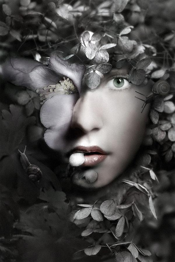 Gorgeous Artworks by Federico Bebber