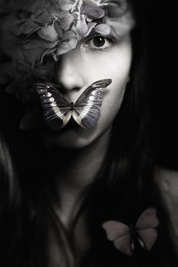 Gorgeous Artworks by Federico Bebber