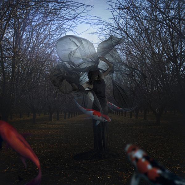 Surrealistic Photography by trini61