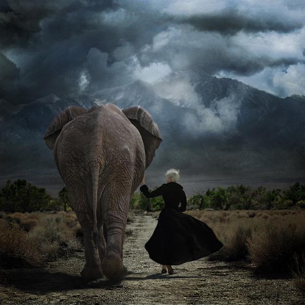 Surrealistic Photography by trini61