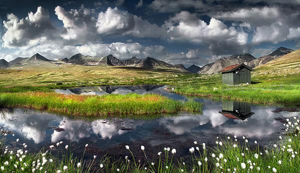 Photography by Max Rive