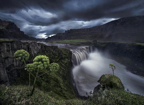 Photography by Max Rive