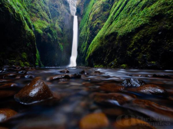 Photography by Christina Angquico