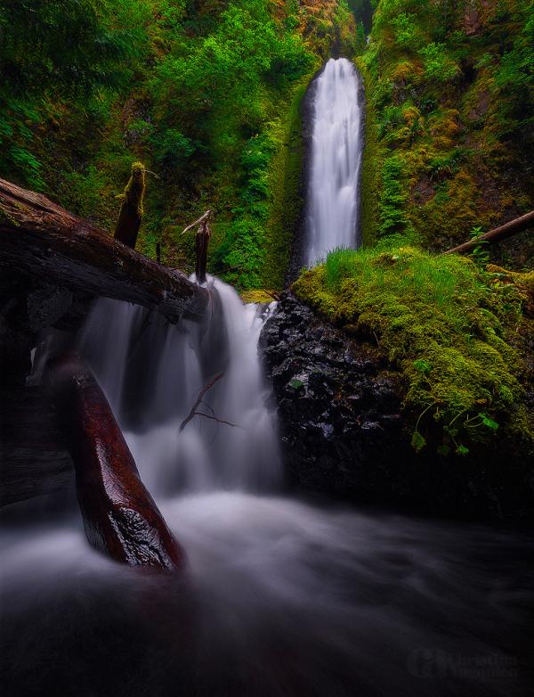 Photography by Christina Angquico