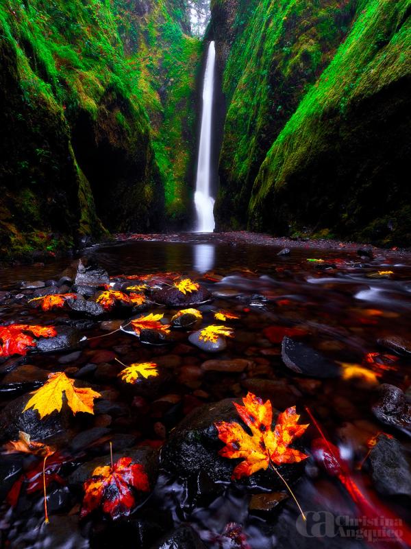 Photography by Christina Angquico