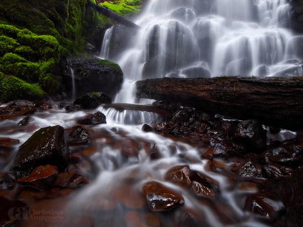 Photography by Christina Angquico