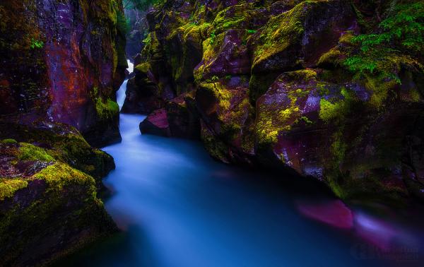 Photography by Christina Angquico