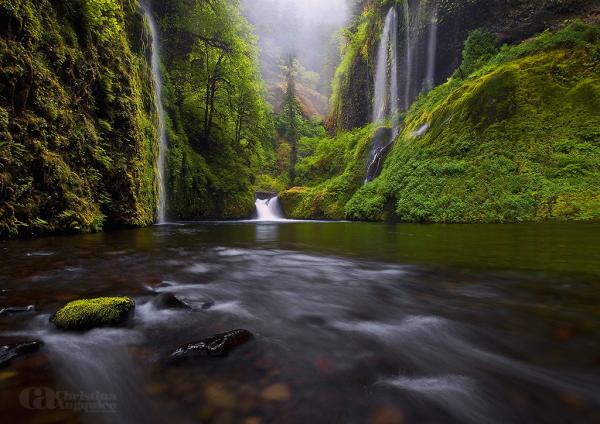 Photography by Christina Angquico