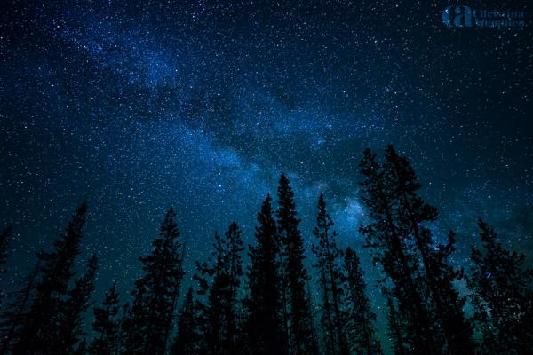 Photography by Christina Angquico