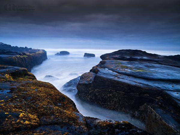 Photography by Christina Angquico