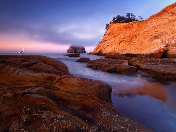Photography by Christina Angquico