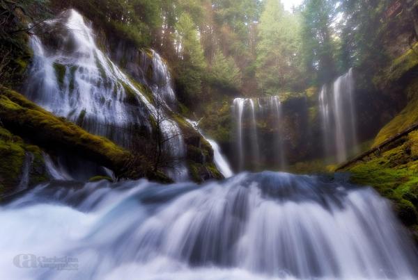 Photography by Christina Angquico