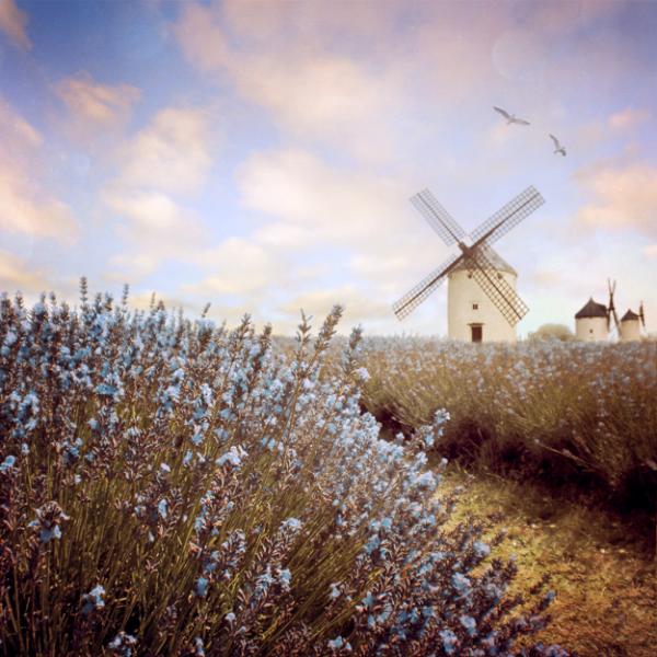 Dream Photography by Lilyenn