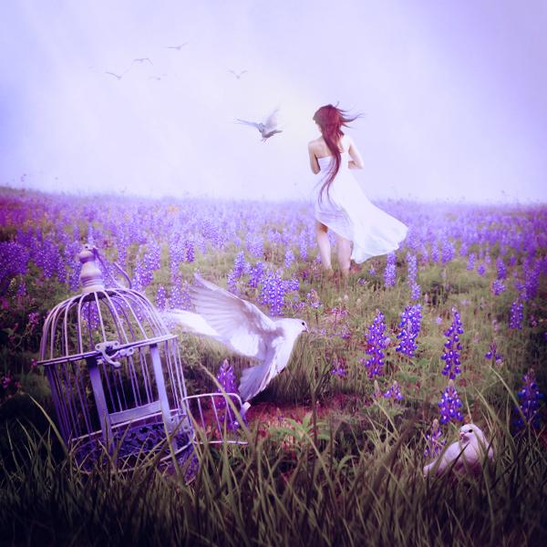 Dream Photography by Lilyenn