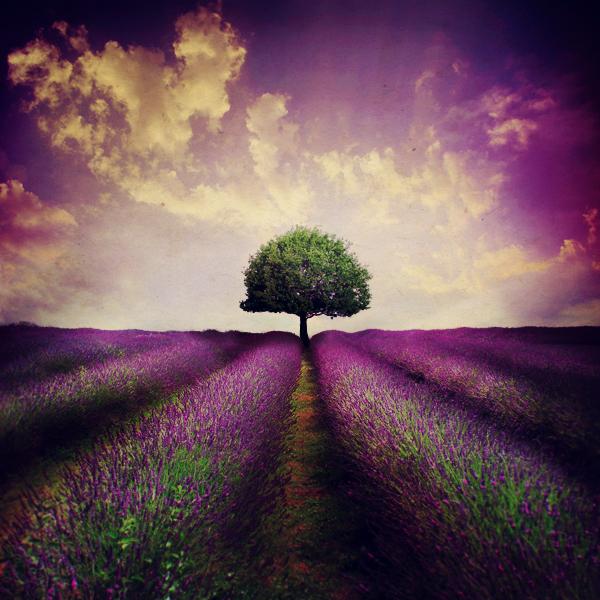 Dream Photography by Lilyenn