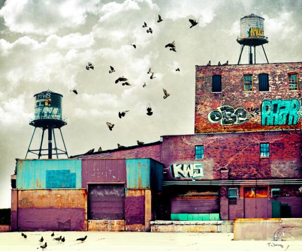 Photography by Tim Jarosz