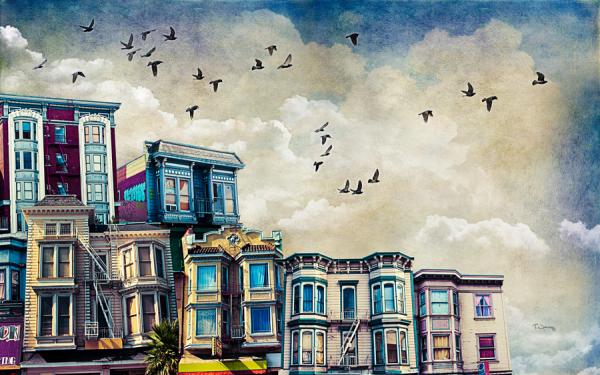 Photography by Tim Jarosz