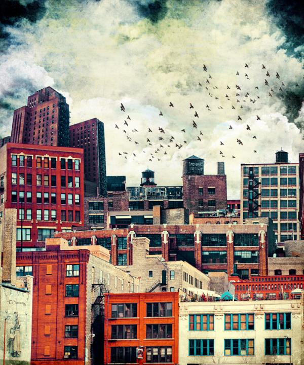 Photography by Tim Jarosz