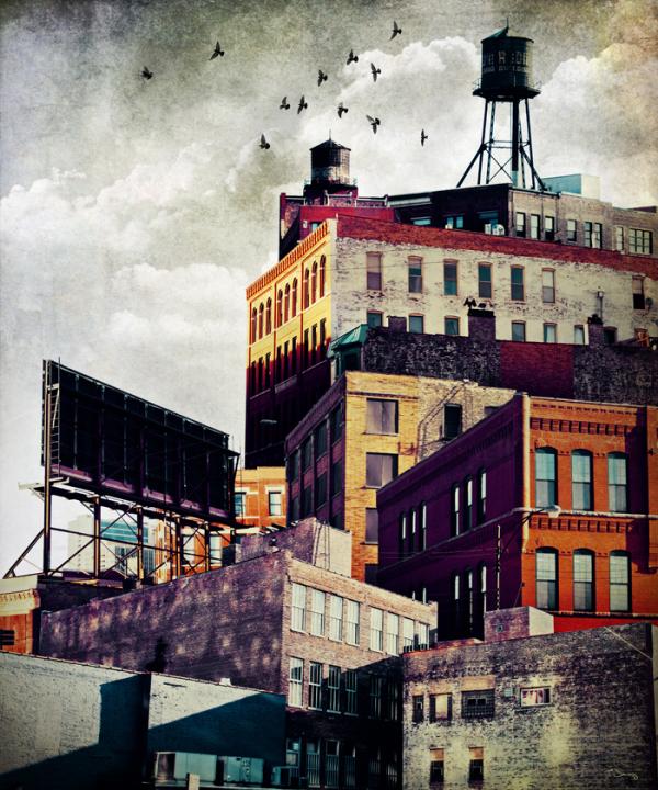 Photography by Tim Jarosz