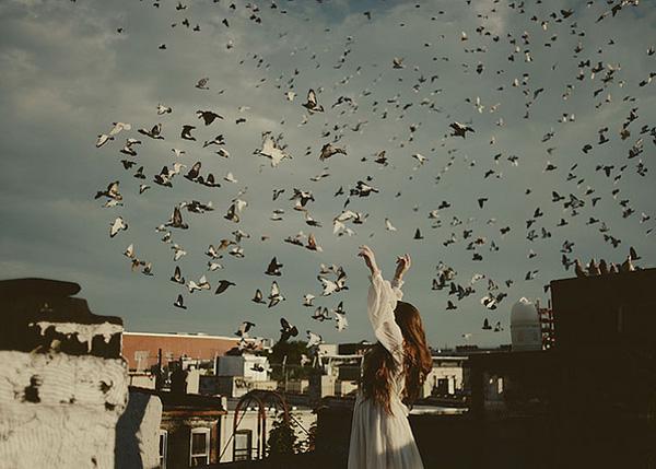 Expressive Photography by Gina Vasquez