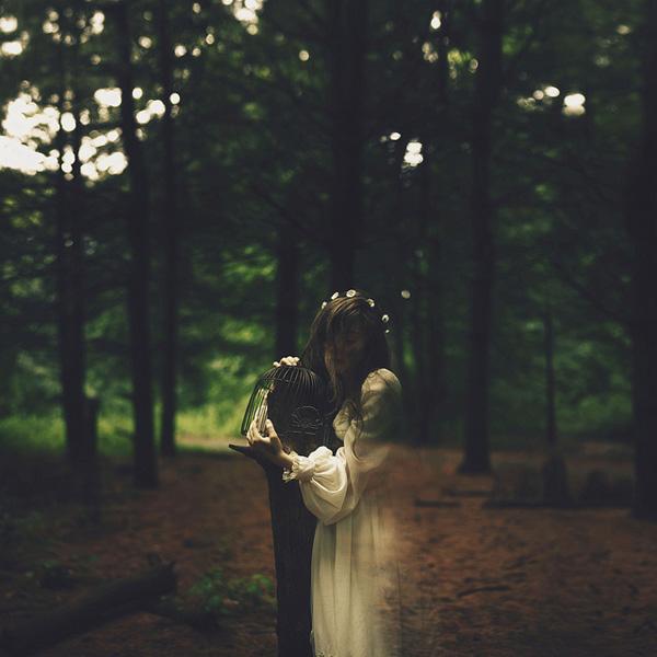 Expressive Photography by Gina Vasquez